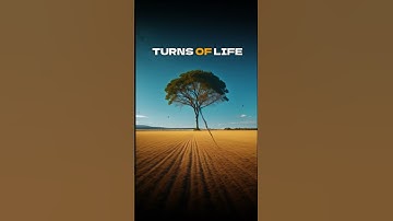 What Must I Do to Be Saved? #motivation #inspiration #faith #god