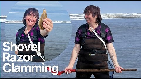 Dig Razor Clams with a Shovel.  Westport, Washington. May 2022