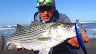 Early Season STRIPED BASS Surf Fishing with a NEW LURE