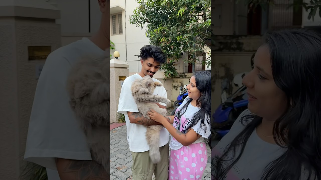 Kerala&rsquo;s first pet grooming on wheels #kochi #minivlog #alienzkid