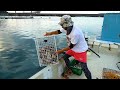 カメラ付きカゴにイワシ30キロ入れたら衝撃映像と大物が釣れた!!!!