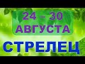 ♐ СТРЕЛЕЦ. 🍎 С 24 по 30 АВГУСТА 2020 г. 🌿 Таро прогноз