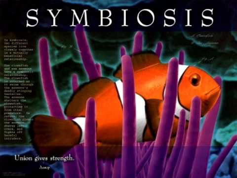 Biology.wmv.wmv