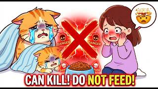 Stop Feeding Your Cat Dry Food — Vets Are Shocked You Still Do It