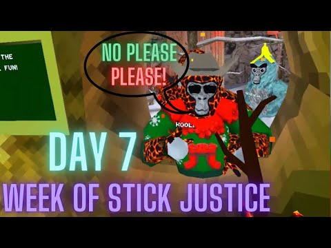 Day 7 of