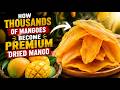 How Thousands Of Mangoes Become Premium Dried Mango