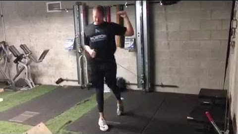 Keiser Rotation Lunge Rows