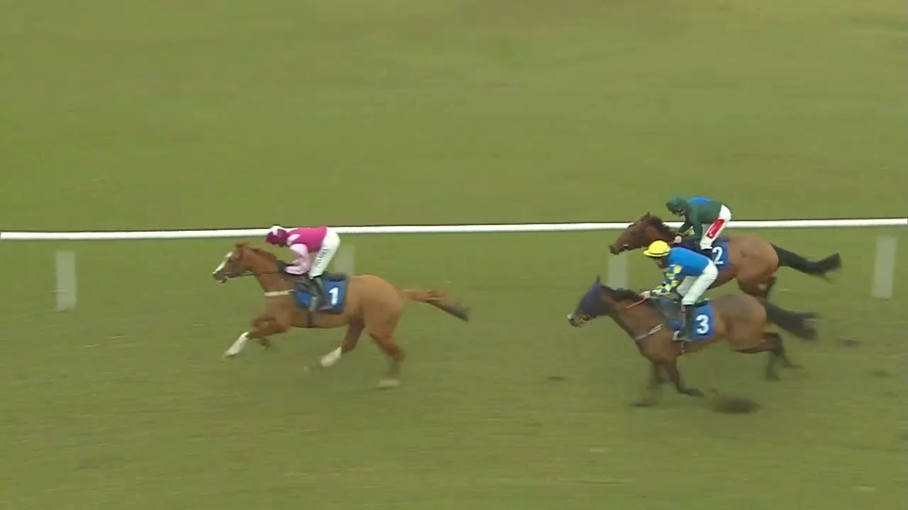 Spirit d'Aunou wins his second race at Ludlow Racecourse - 06/01/23