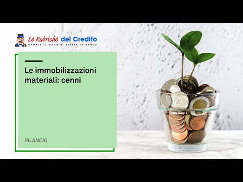 Video: Cosa sono le immobilizzazioni ai sensi della legge