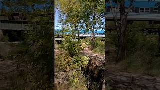 tren de rio lujan