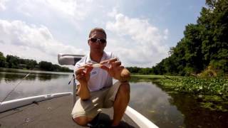 Why Water-Based Baits work Best