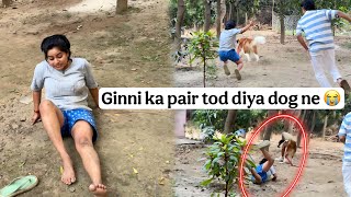 Ginni Ka Pair Dog Ne Attack Kar Diya