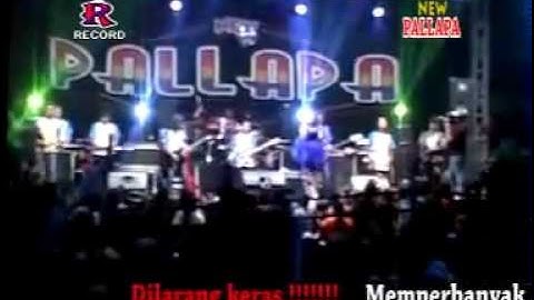 Tabah   Lilin Herlina new pallapa terbaru 2015