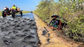 Unique Catching &amp; Catfish in Flooded Village 2022 - @UniqueRealFishing