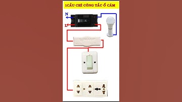 Assemble electrical panel with 1 switch, 1 socket, and 1 light bulb
