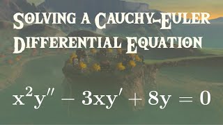 Famous Differential Equations | Euler Equations Example 3 Profile