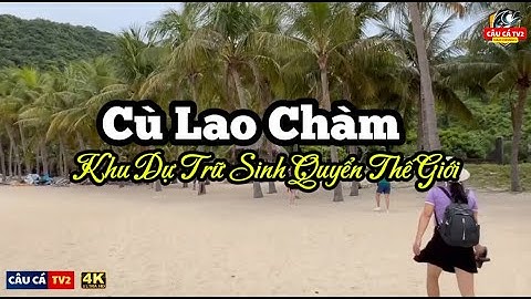 CÙ LAO CHÀM HỘI AN- KHU DỰ TRỮ SINH QUYỂN THẾ GIỚI || World Biosphere Reserve || Câu Cá TV2