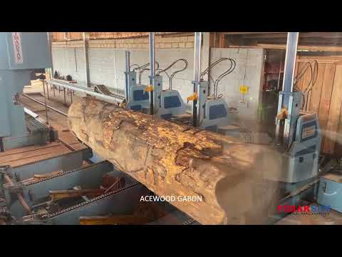 Log Bandsaw – Exotic hardwood, Gabon Africa sawmill