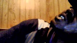 Capture 20140415