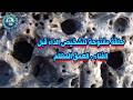 حلقة مفتوحة لتشخيص الداء قبل الفناء العمق المظلم