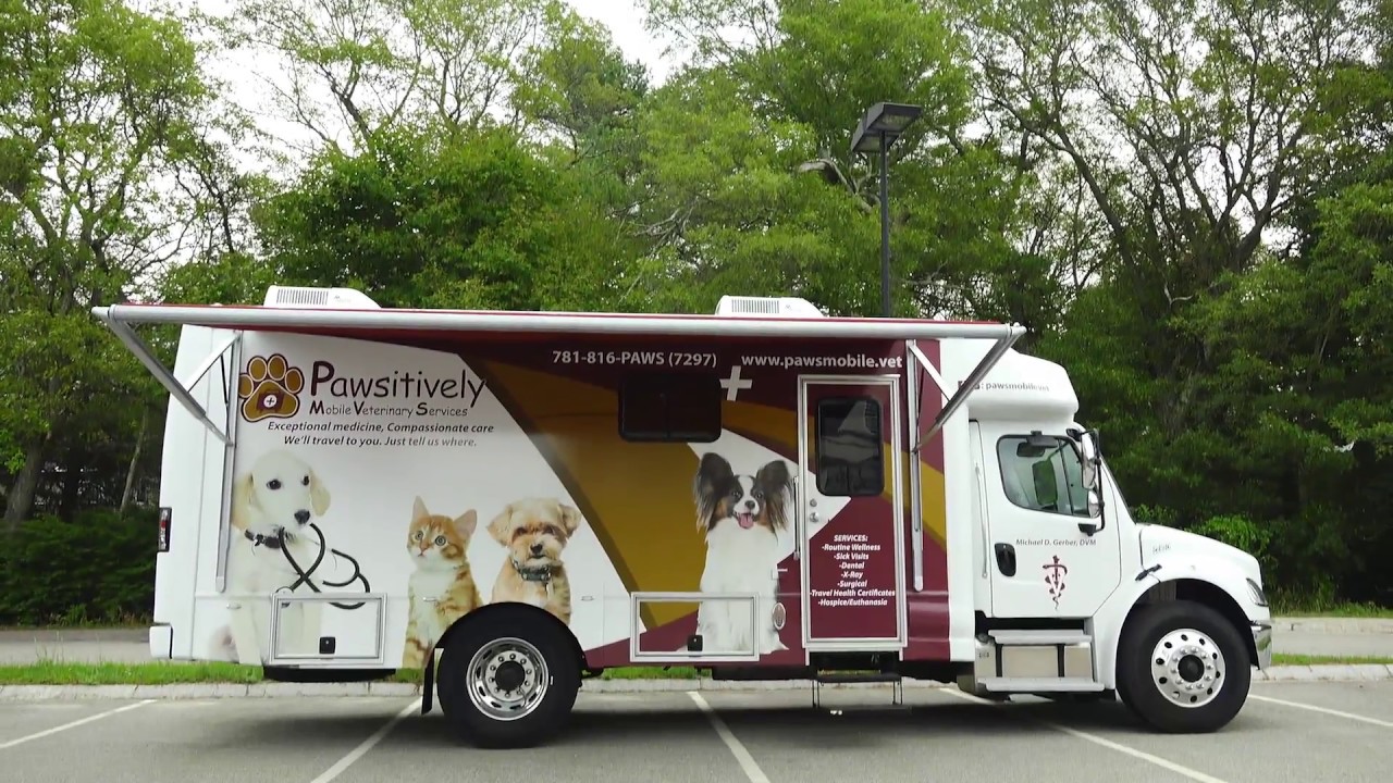 mobile vet services