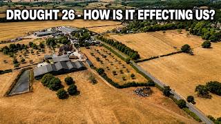 DROUGHT 26 - HOW IS IT AFFECTING US