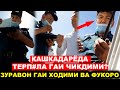 &quot;УЯТ&quot; ГАИ ХОДИМИ БИЛАН СОЛА СОЛ - КАРШИДА ПОЛНЫЙ БЕСПЕРДЕЛ!