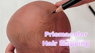 Hair Mapping for Reborn Doll with Prismacolor| Before the Paint