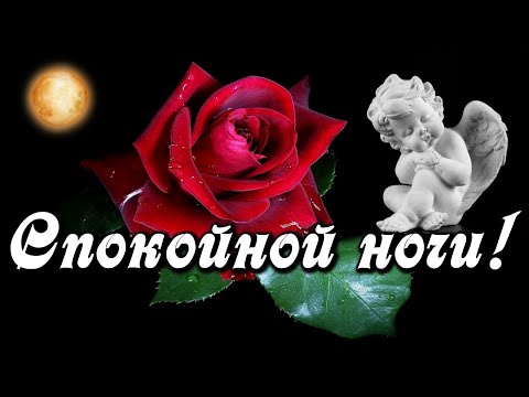 Доброй ночи и сказочных снов среди Ангелов и цветов! Красивая музыкальная открытка Спокойной ночи