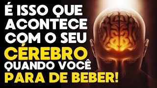 O que acontece com o cérebro quando paramos de beber?