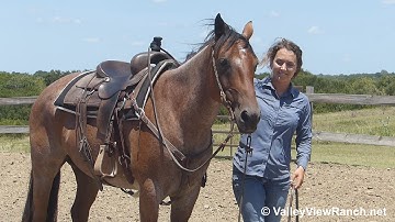 Bri Osage Wiggy***For info, price, etc., go to our website: ValleyViewRanch.net***