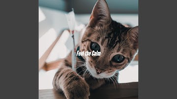 Pulsating Ethereal Momentum