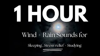 HOWLING WIND and RAIN sounds to fall asleep to, stress-relief, meditation + studying