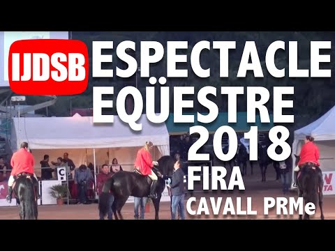 Vídeo: Esport Hongarès Cavall Raça De Cavall Hipoal·lergènic, De Salut I De Vida
