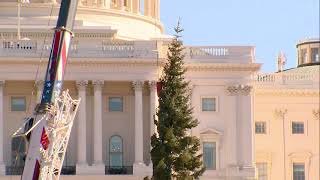 WATCH LIVE : US Capitol Christmas tree arrives in DC for 2021 holiday season | FOX 5 DC