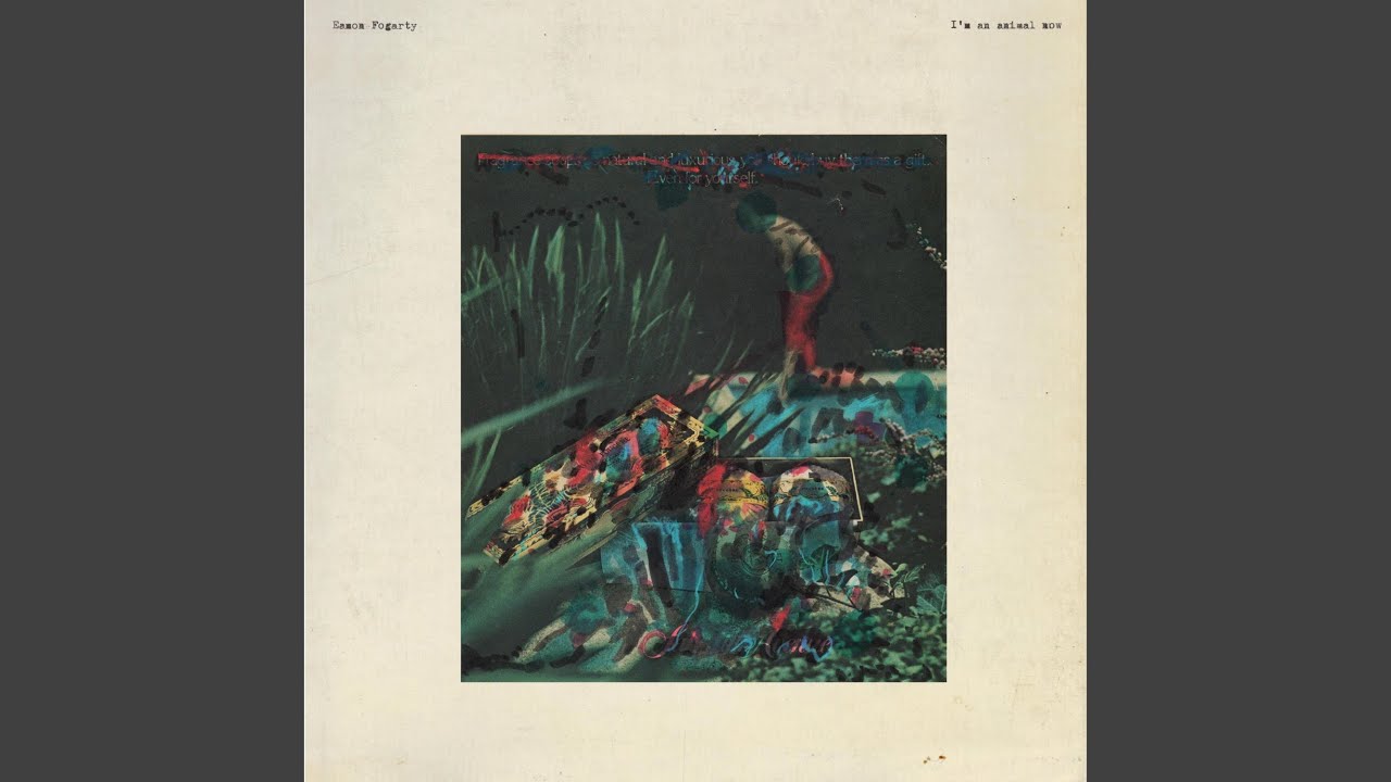 Camera Man - YouTube