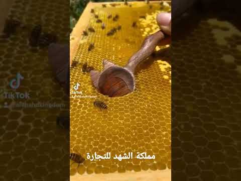 مملكة الشهد للتجارة قطر معيذر شارع ام الدوم للتواصل 59911118  2022 كأس العالم قطر