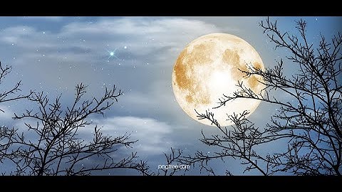 Viện Chuyên Tu - Xuân Trăng Tròn - Tân Sửu 2021