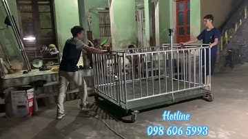 Giới thiệu về cân lồng heo 500kg 1 tấn có gắn bánh xe đẩy 360