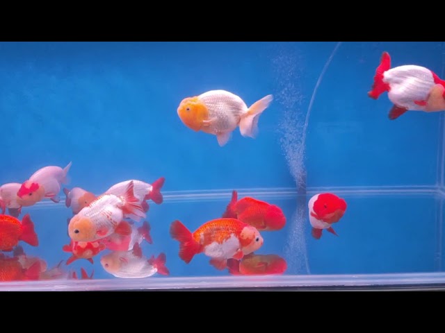 2021年6月26日 縮圖