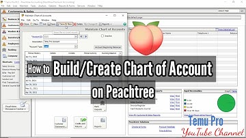 Lesson - 2 - Peachtree Accounting - How to build or create chart of Account on Peachtree tutorial