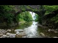 Bonitas vistas de paisajes en Suiza