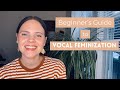 Vocal feminization a guide for complete beginners