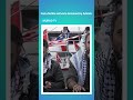 A group of Gaza flotilla activists has been detained by Adalah