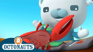 @Octonauts   The Fiddler Crabs  | Series 2 | Full Episode 12 | Cartoons for Kids