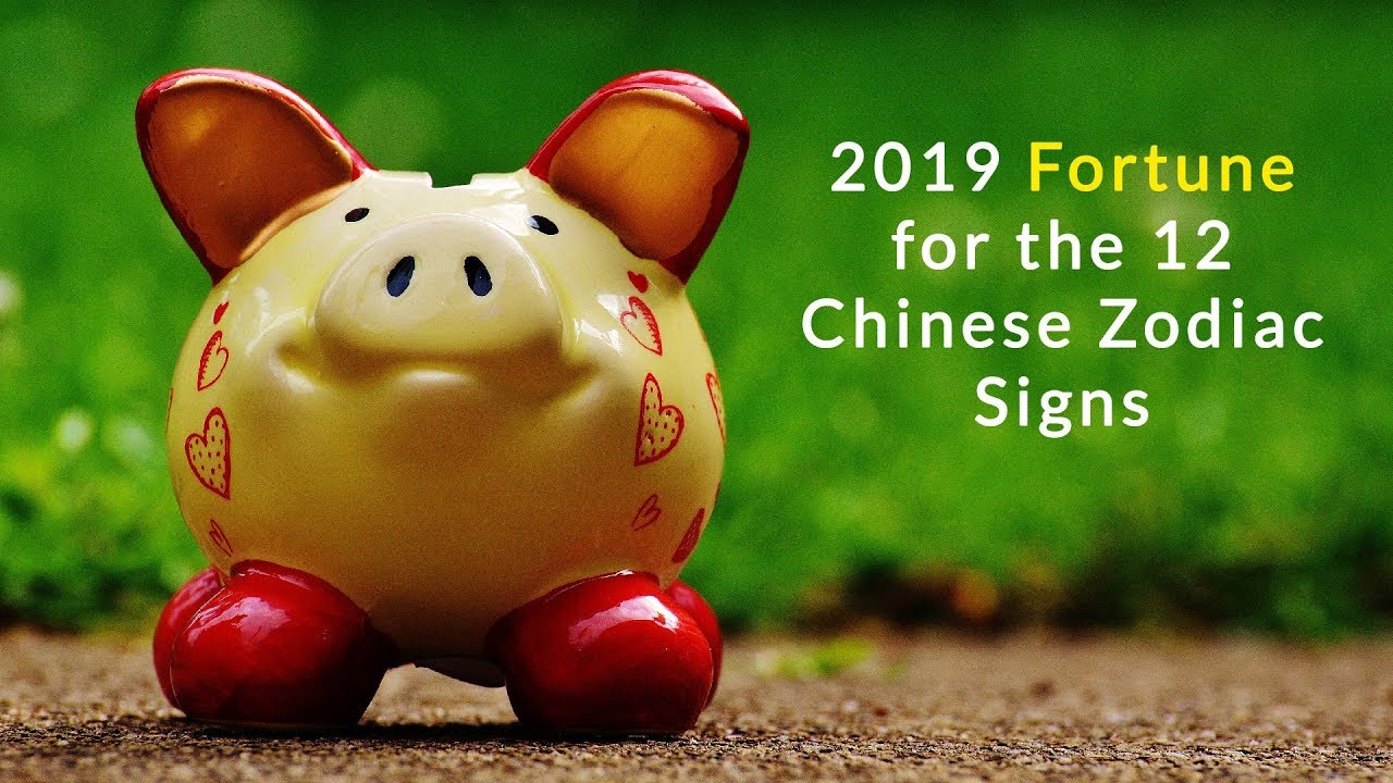 Chinese New Year animals: 2019 is the year of the pig, but do you know your ...