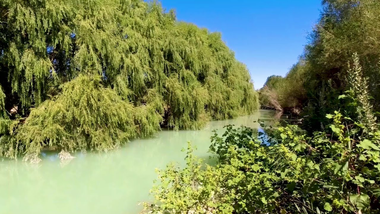 ÖZGÜRLÜK MÜ?YALNIZLIK MI?