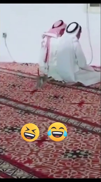 kucing di ganggu orang sholat 🤣