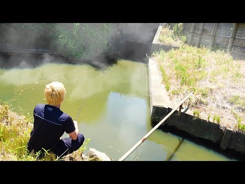 水温４０℃越え！？「温泉の流れる水路」で巨大熱帯魚が釣れた。