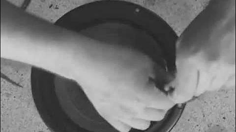 JBL A608 LX800 LX1000 Refoam Sicke Repariern